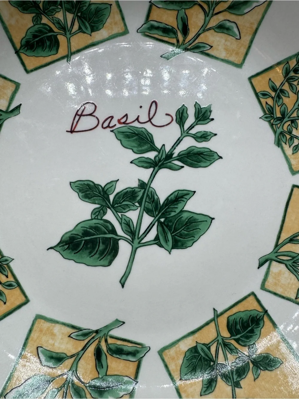 Large Green and White Pasta Bowl Different Herbs, Basil WCL 12 1/2”